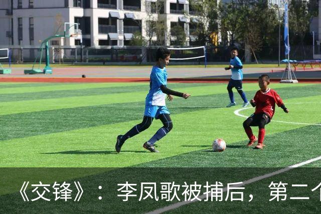 《交锋》：李凤歌被捕后，第二个叛徒浮出水面，不是魏广进