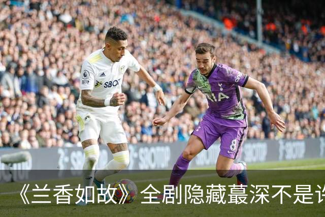 《兰香如故》全剧隐藏蕞深不是许兰香也不是林绣茹，而是无声的他