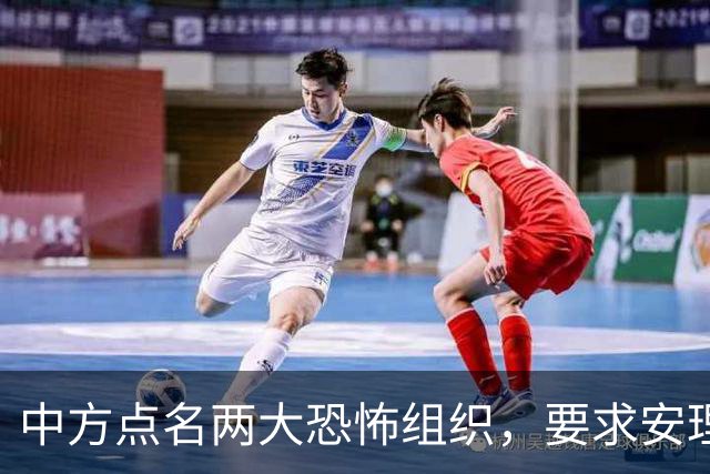中方点名两大恐怖组织，要求安理会列入制裁名单,并提出要求！