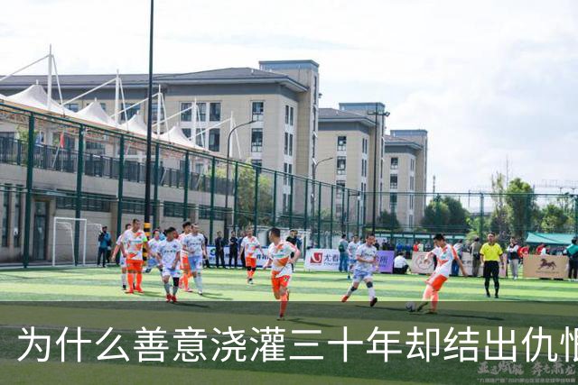 为什么善意浇灌三十年却结出仇恨恶果？