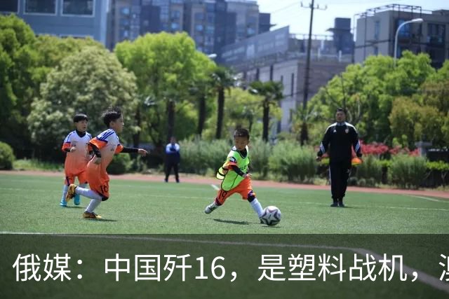 俄媒：中国歼16，是塑料战机，澳媒：它明明是最强侧卫