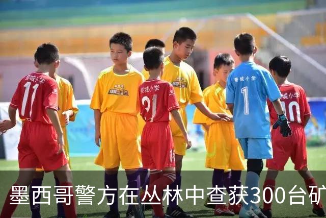 墨西哥警方在丛林中查获300台矿机，非法接入水电站供电