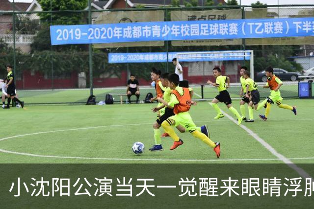 小沈阳公演当天一觉醒来眼睛浮肿：“给大家报备一下，一觉醒来眼睛肿成蜜蜂小狗了”