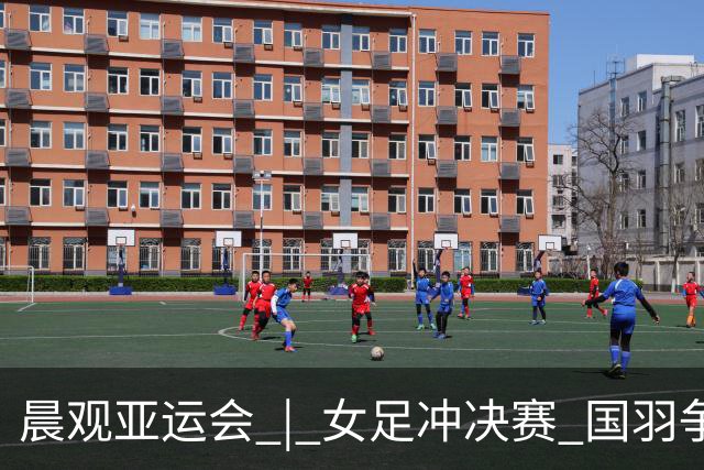 晨观亚运会 | 女足冲决赛 国羽争三金
