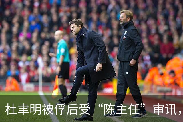 杜聿明被俘后受“陈主任”审讯，他下意识问：“你是陈毅将军吗？”