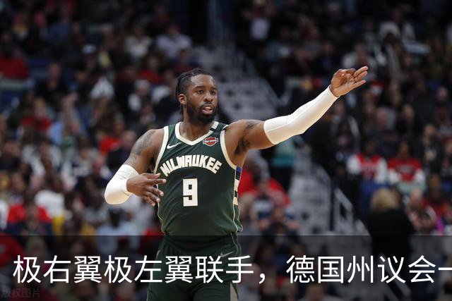 极右翼极左翼联手，德国州议会一份动议，44票对42票之差