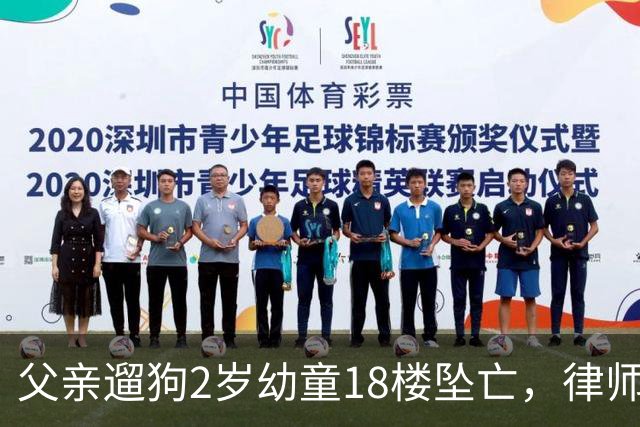 父亲遛狗2岁幼童18楼坠亡，律师谈“刑事不立案”：此类事件刑事追责非常审慎，但非免除监护过错