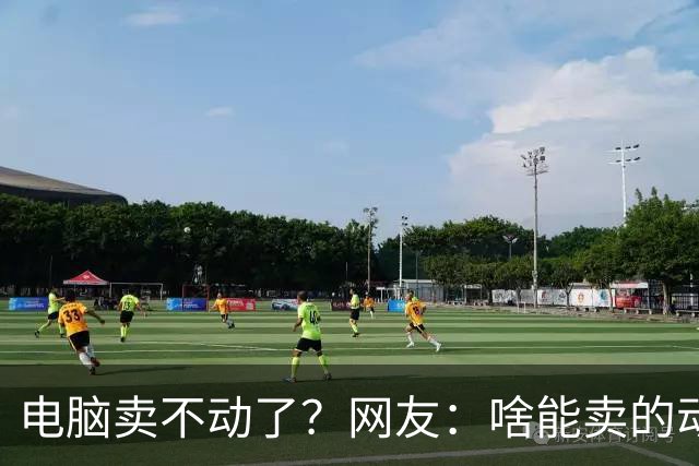 电脑卖不动了？网友：啥能卖的动？