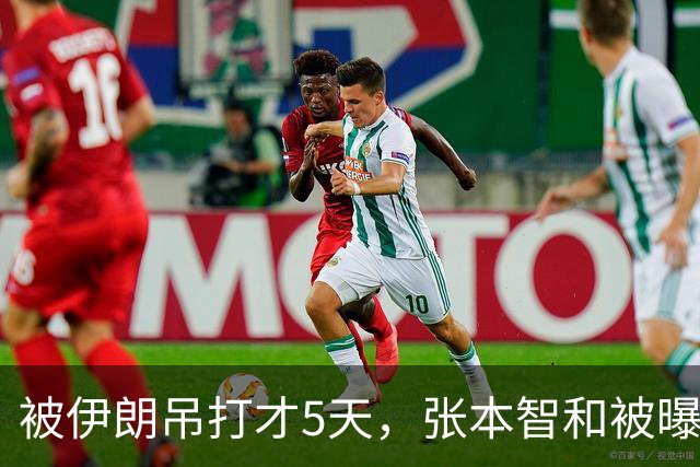 被伊朗吊打才5天，张本智和被曝猛料，酒后爆粗，管不住下半身？