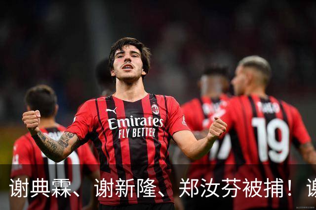 谢典霖、谢新隆、郑汝芬被捕！谢衣凤回应来了，王惠美该行动了！